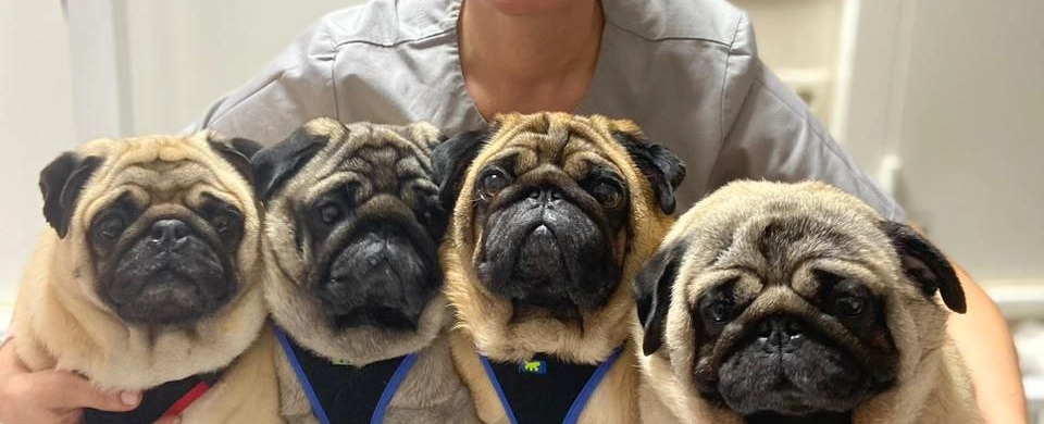 Фото галереи 14