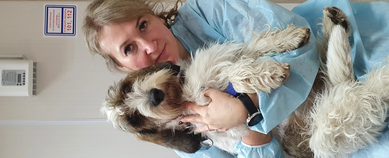 Фото галереи 15