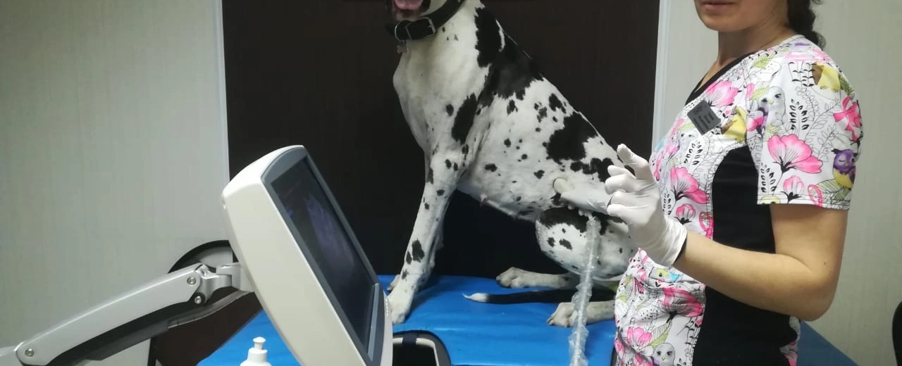 Фото галереи 16