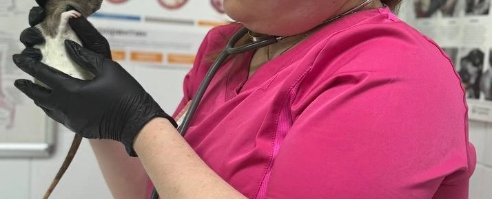 Фото галереи 1