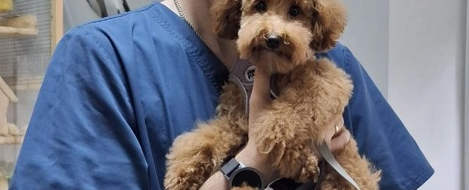 Фото галереи 2