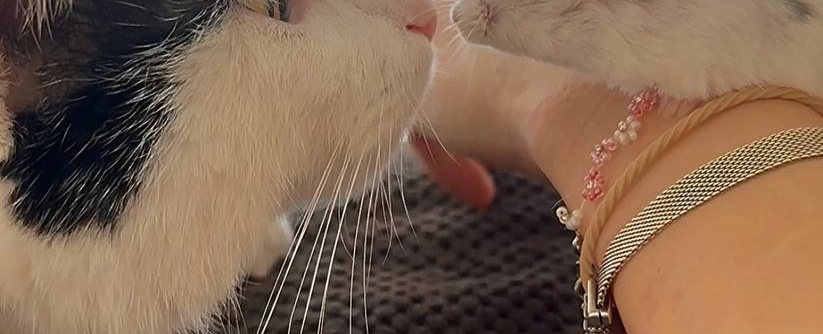 Фото галереи 4