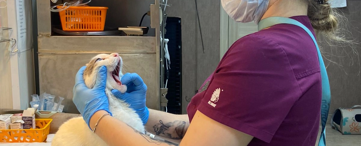 Фото галереи 18