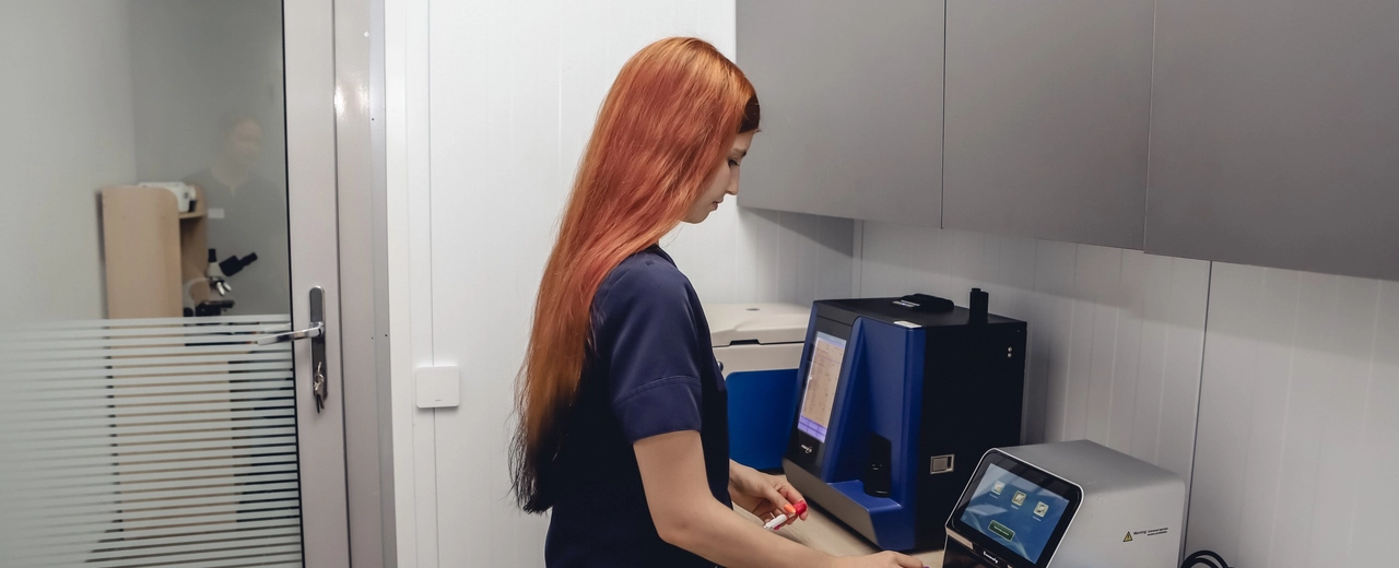 Фото галереи 2