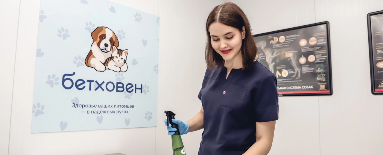 Фото галереи 5