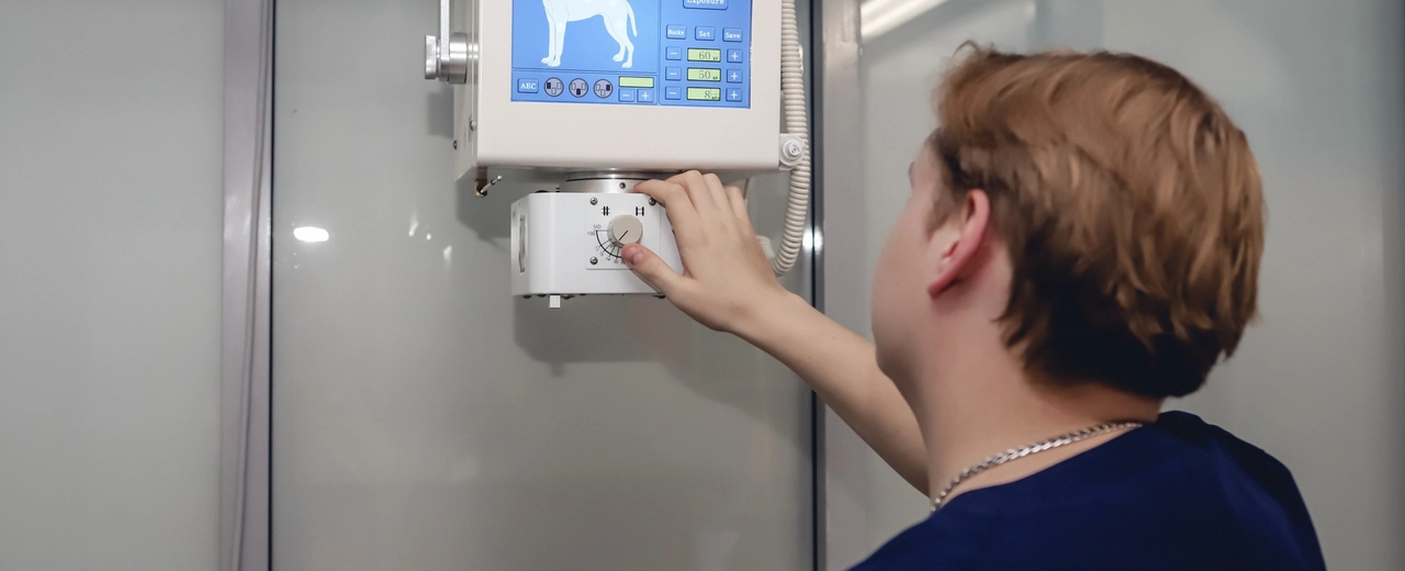 Фото галереи 7