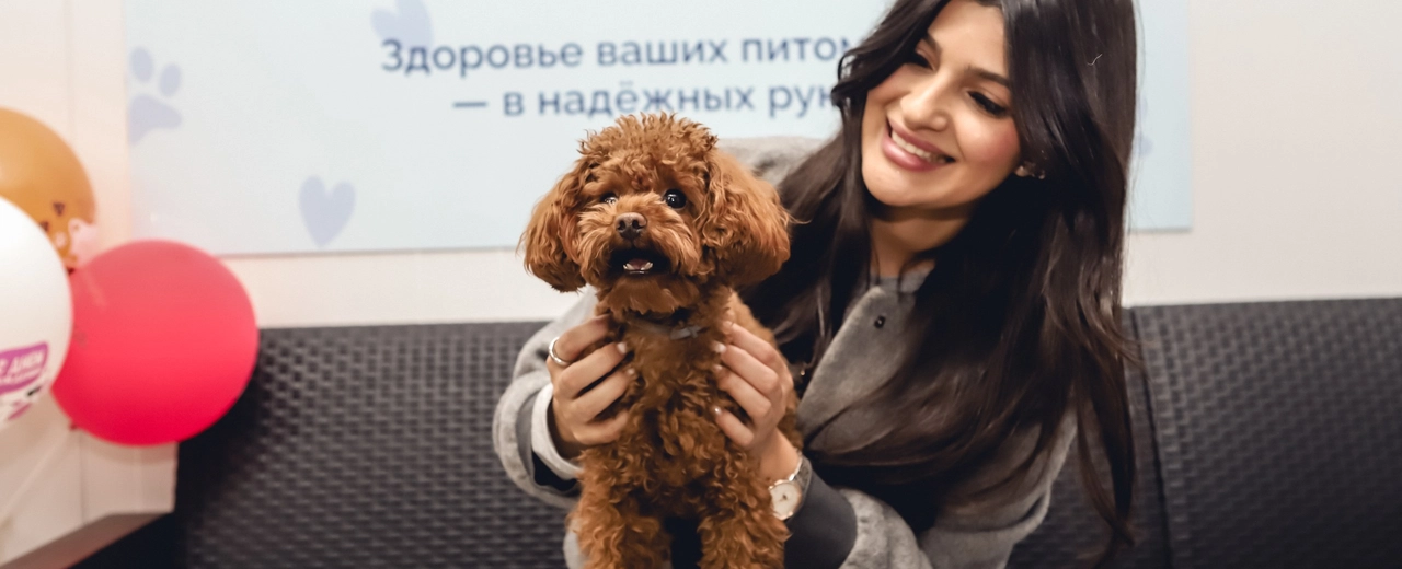 Фото галереи 8