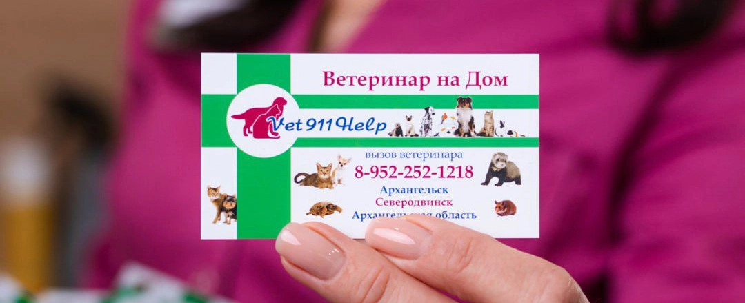 Фото галереи 9