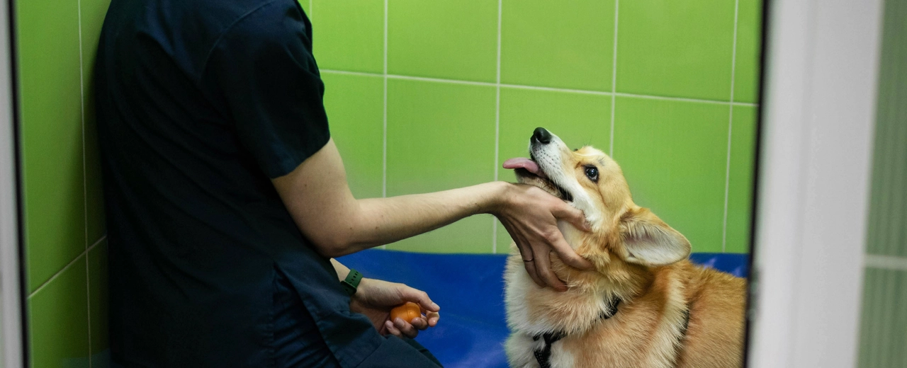 Фото галереи 3