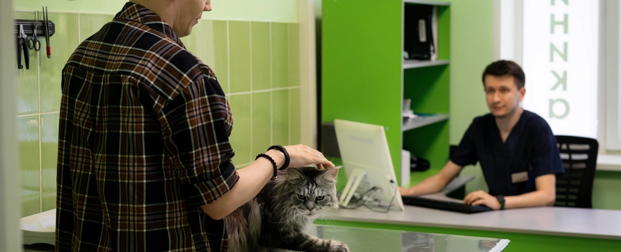 Фото галереи 4