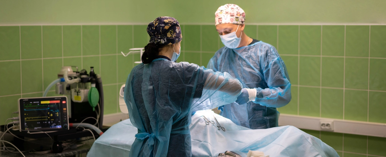 Фото галереи 6