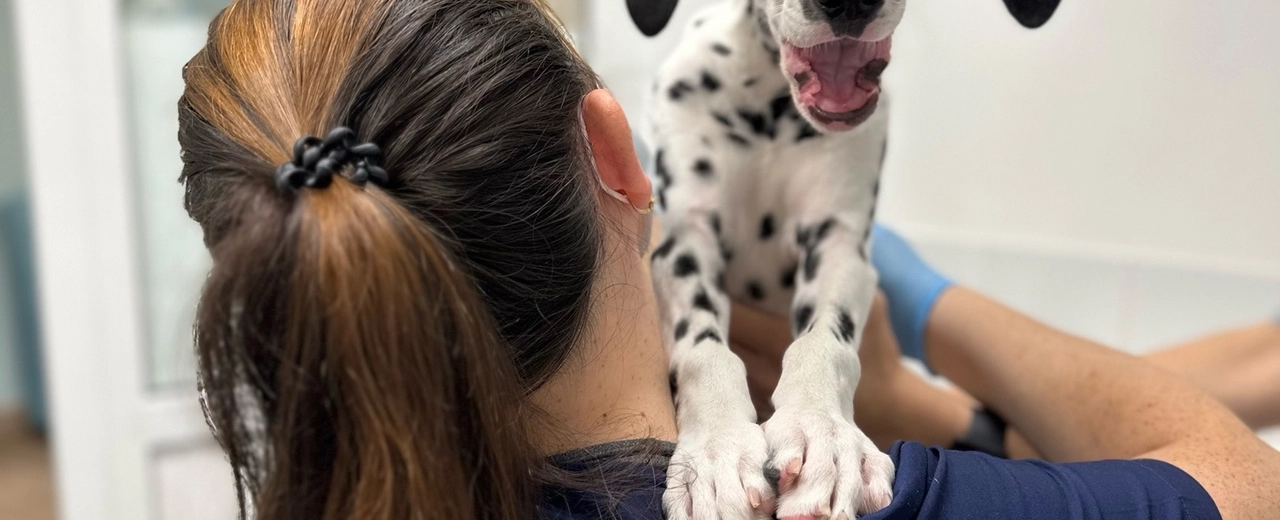 Фото галереи 1