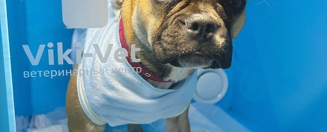 Фото галереи 2