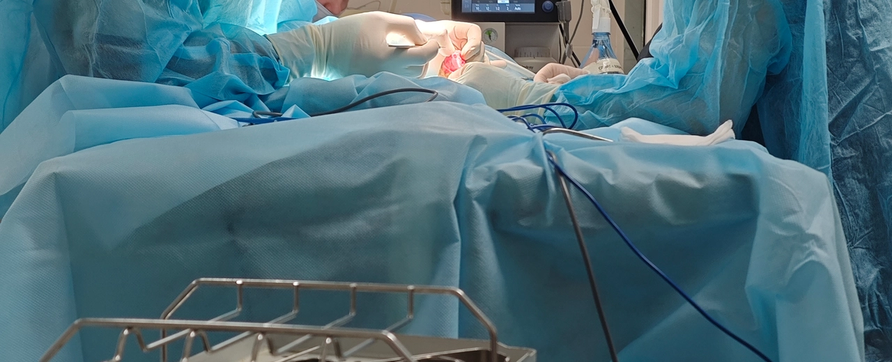 Фото галереи 4