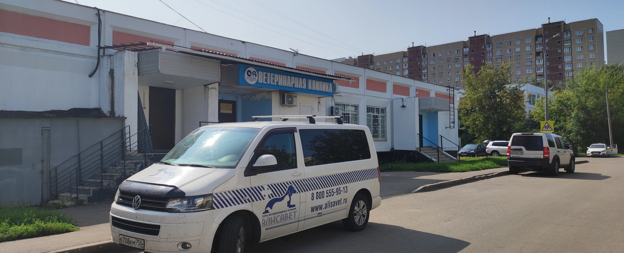 Фото галереи 6