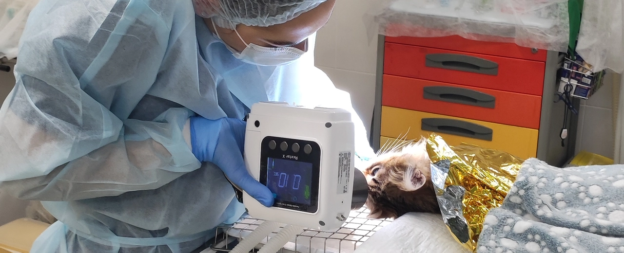 Фото галереи 7