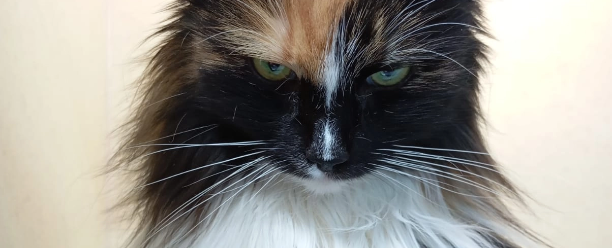 Фото галереи 10