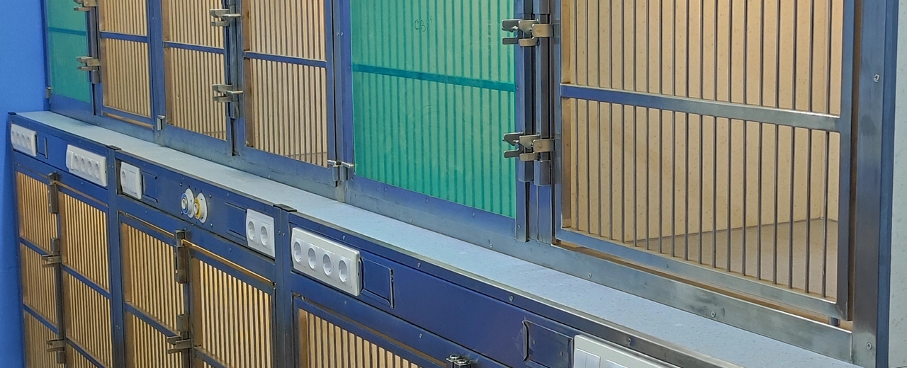 Фото галереи 1