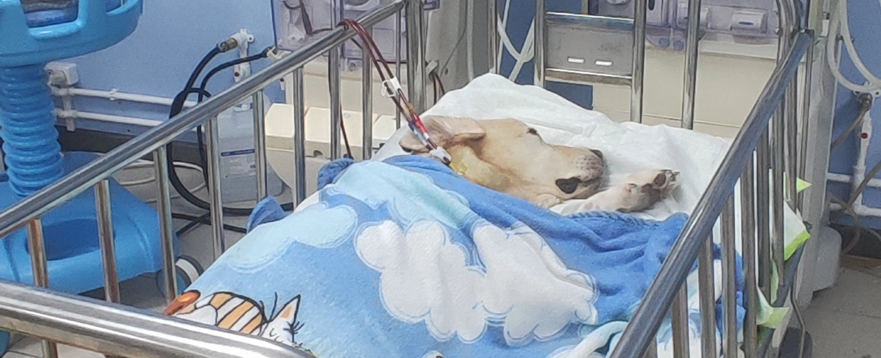 Фото галереи 3