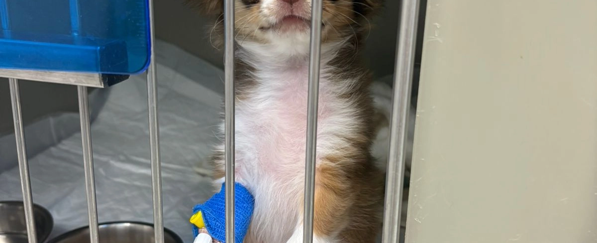 Фото галереи 4