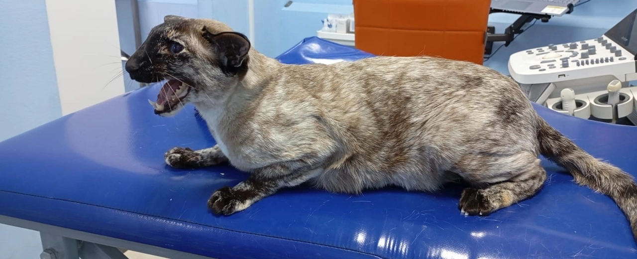 Фото галереи 5