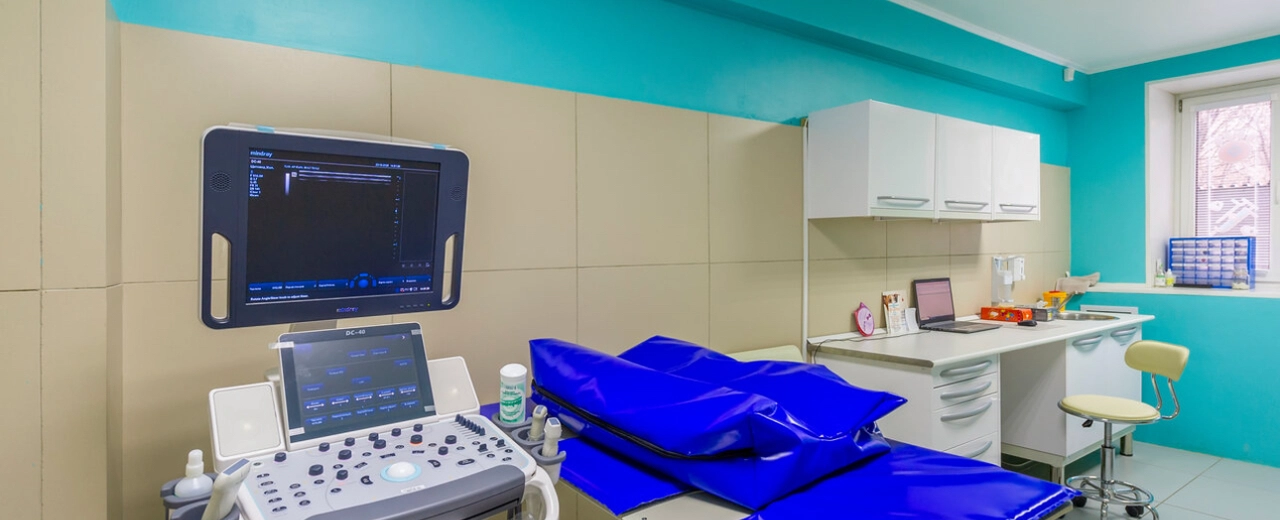 Фото галереи 1