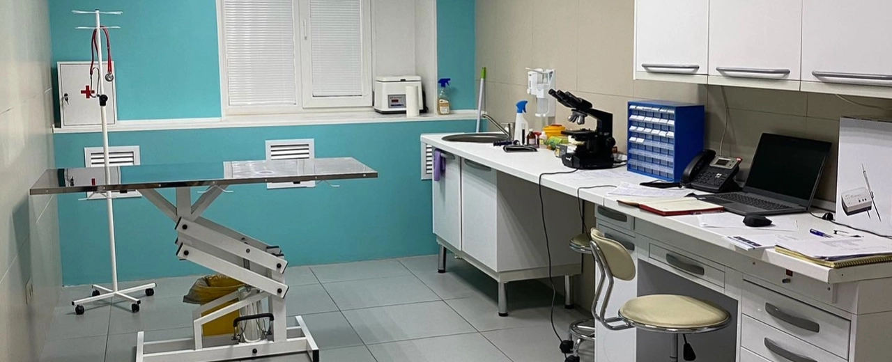 Фото галереи 2