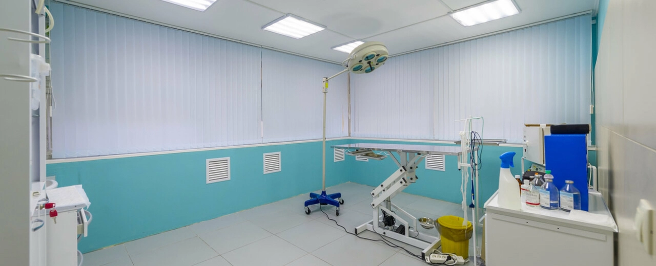 Фото галереи 6