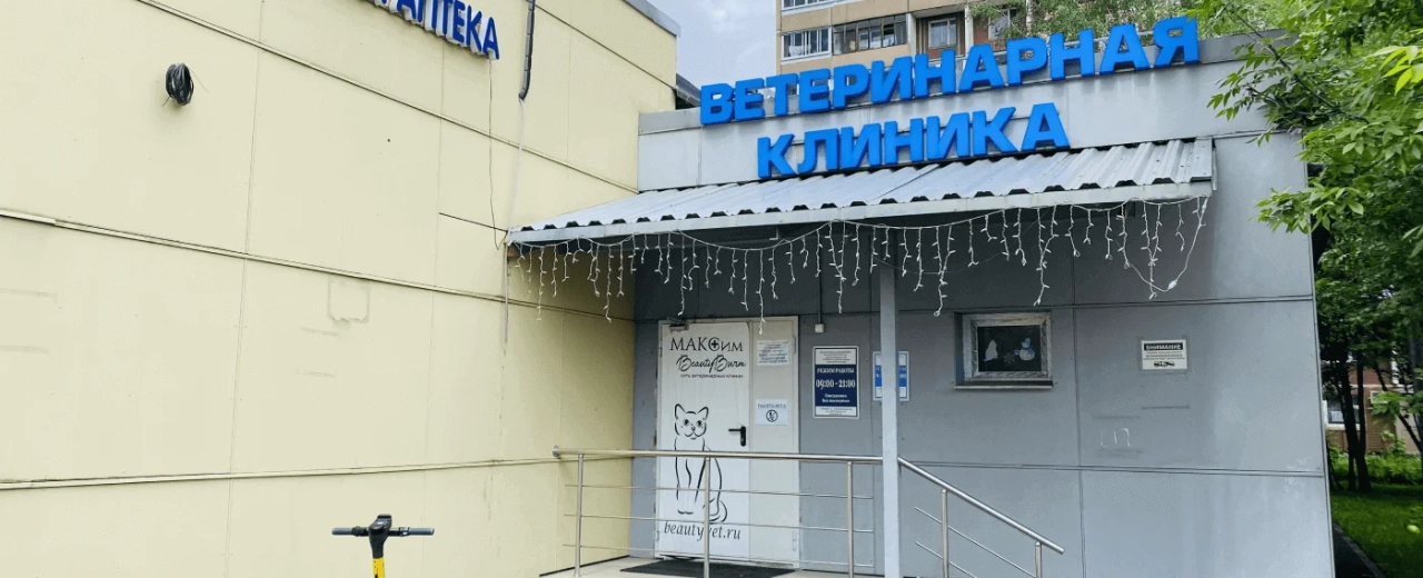 Фото галереи 1