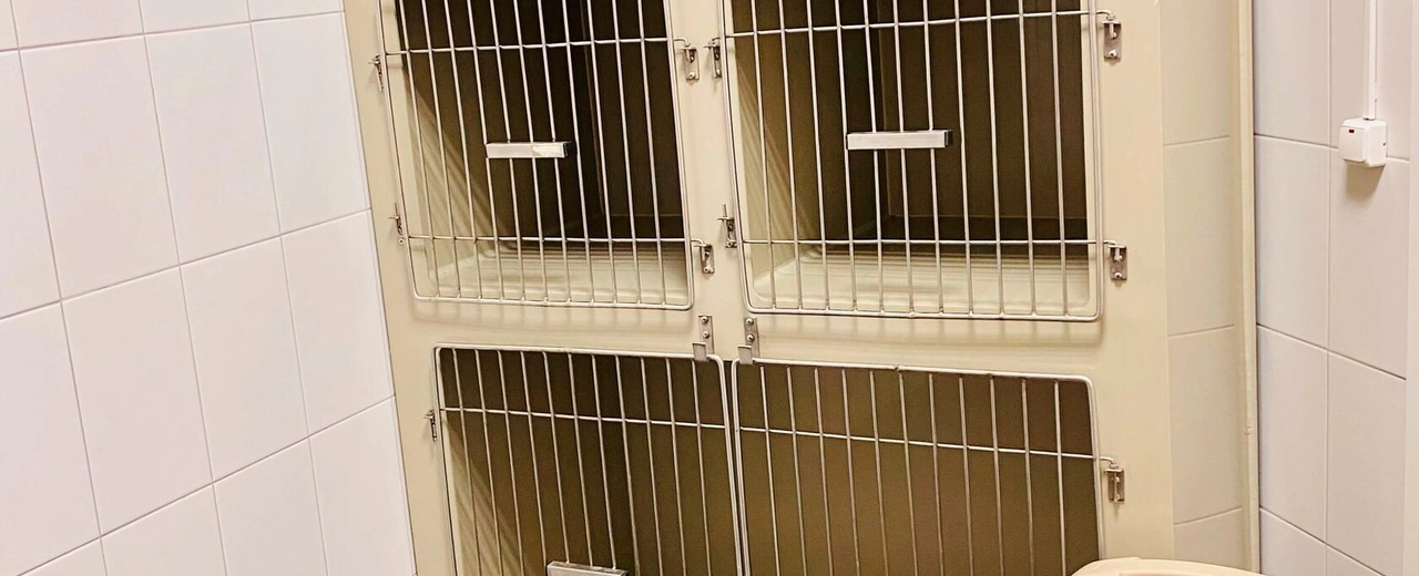 Фото галереи 4