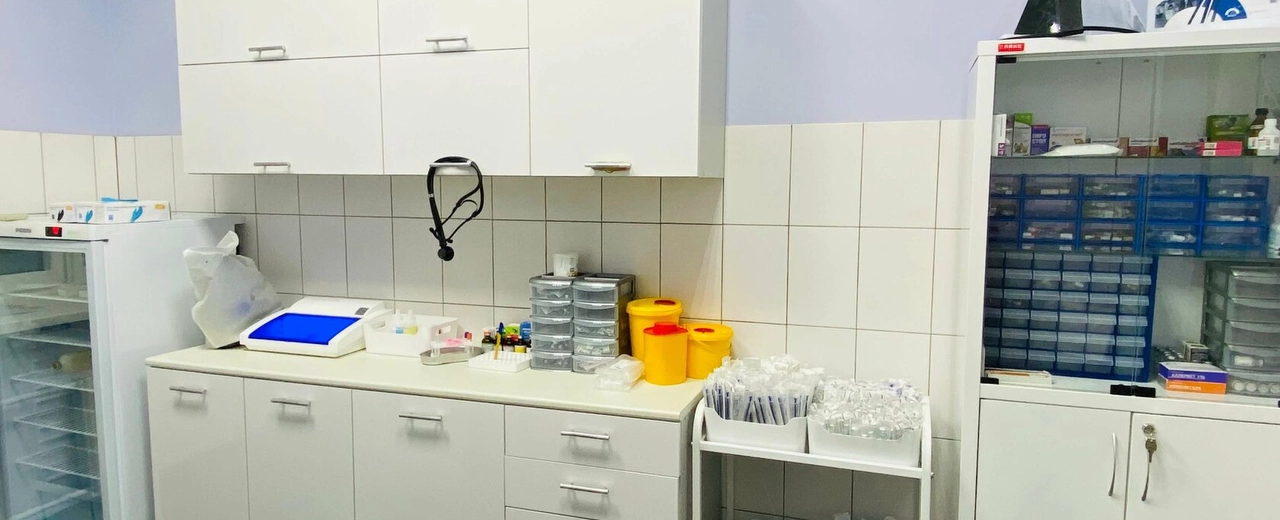 Фото галереи 6