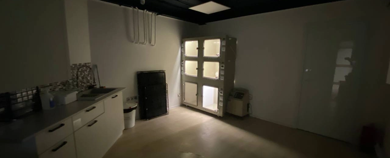 Фото галереи 6