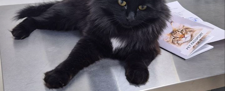 Фото галереи 7