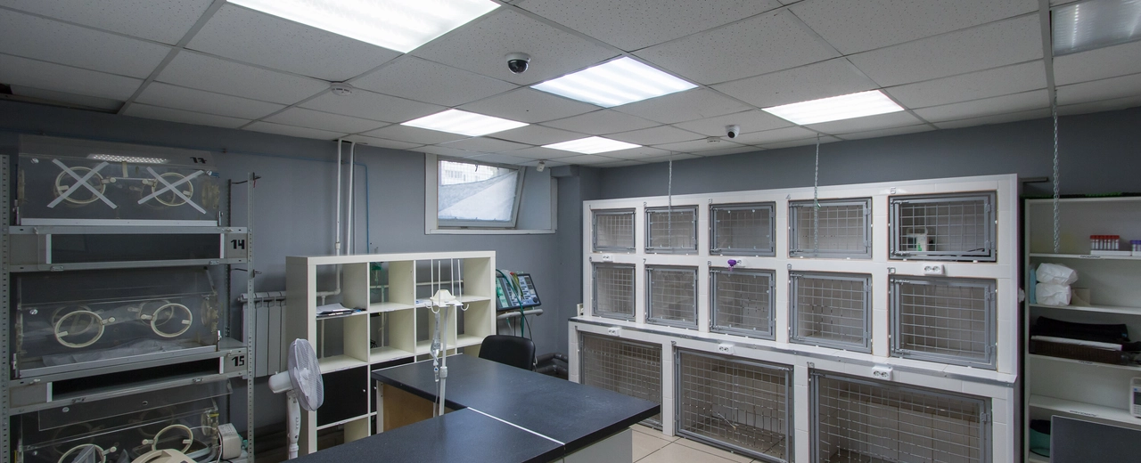 Фото галереи 2