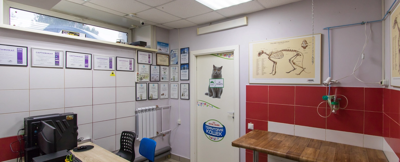 Фото галереи 4