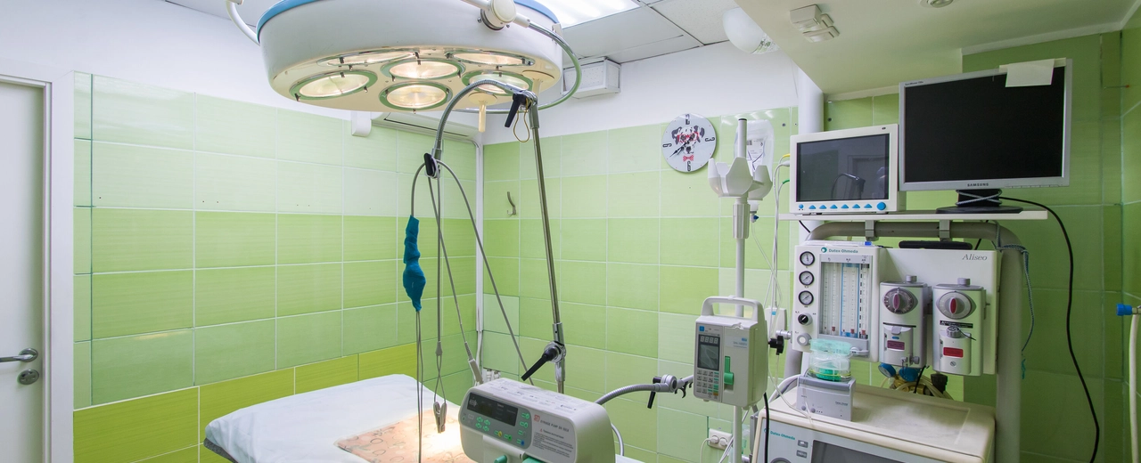 Фото галереи 5