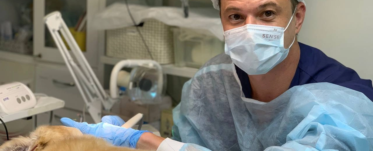 Фото галереи 2