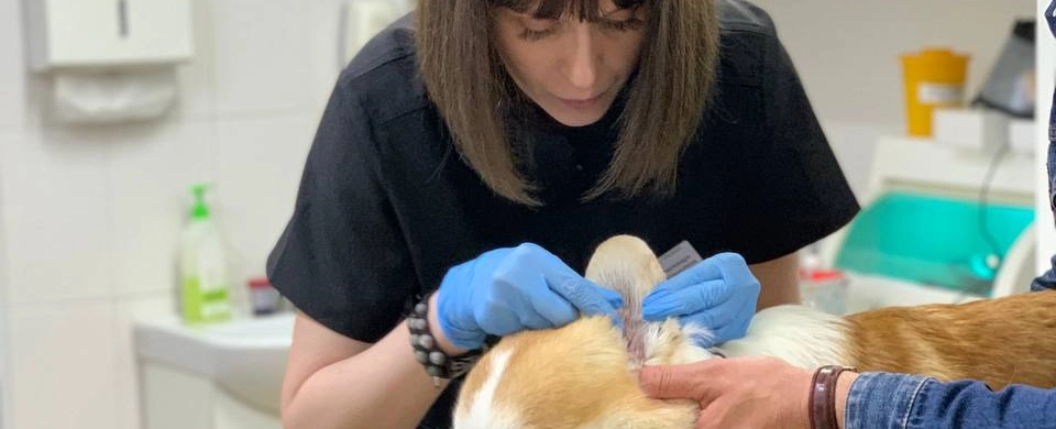 Фото галереи 3