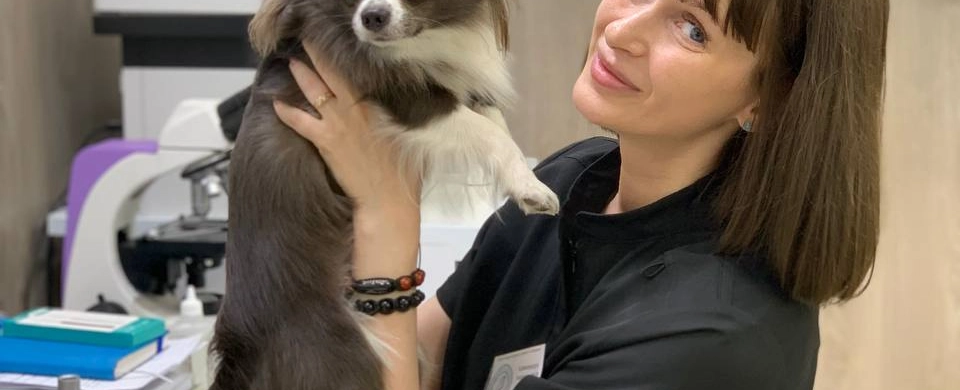 Фото галереи 4