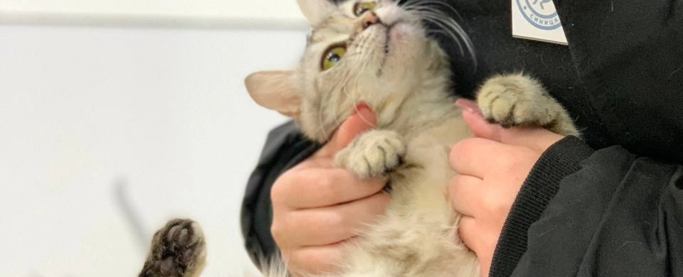 Фото галереи 5