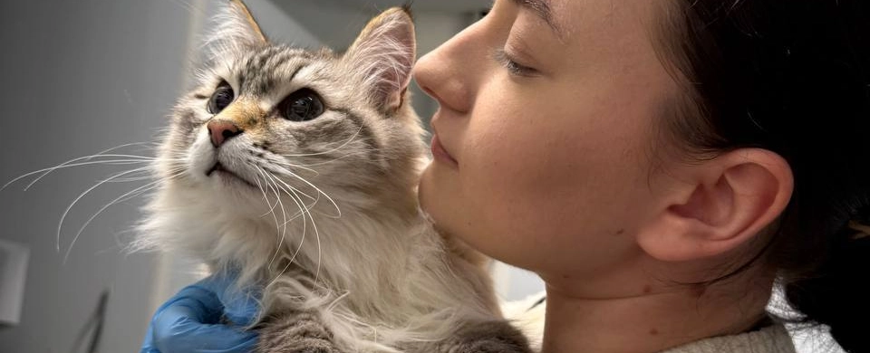 Фото галереи 10