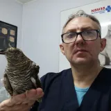 Чугуевский Владимир Владимирович