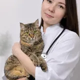 Петрова Ксения Павловна