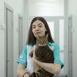 Дюжина Алиса Александровна