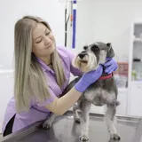 Селимянкина Дарья Алексеевна