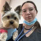 Ситникова Алина Георгиевна