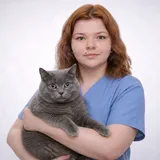 Семочкина Дарья Михайловна