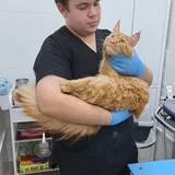 Виноходов Михаил Игоревич
