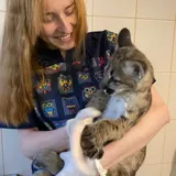 Шатохина Алёна Витальевна