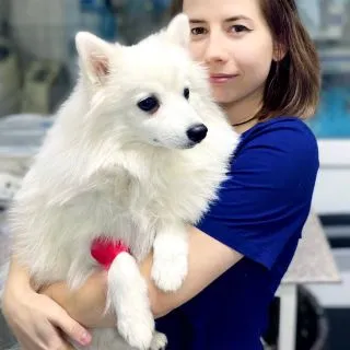 Абилова Алина Игоревна